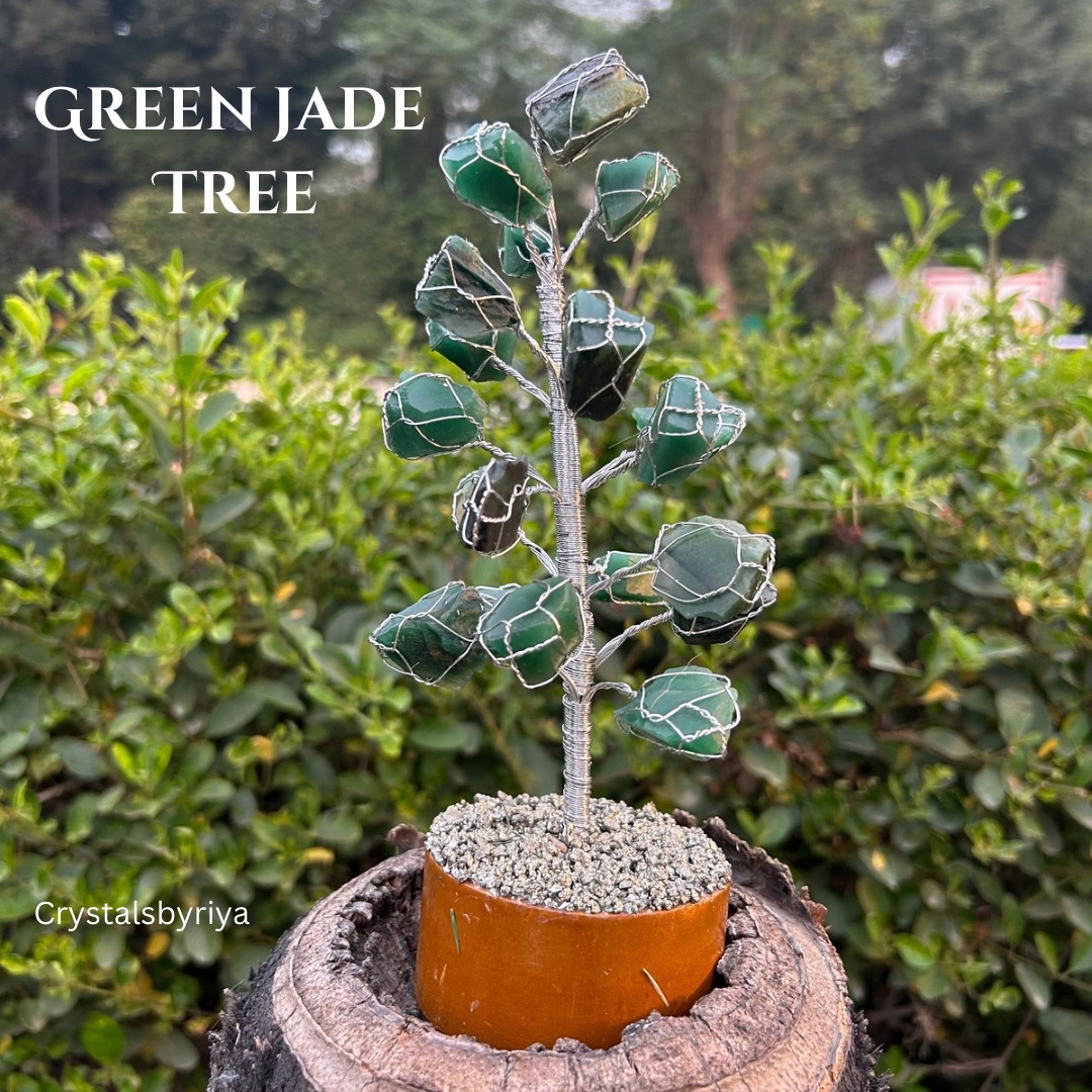 Green Jade Tree