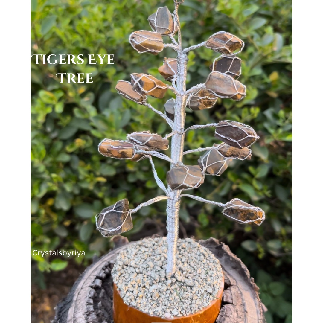 Tigers Eye Tree