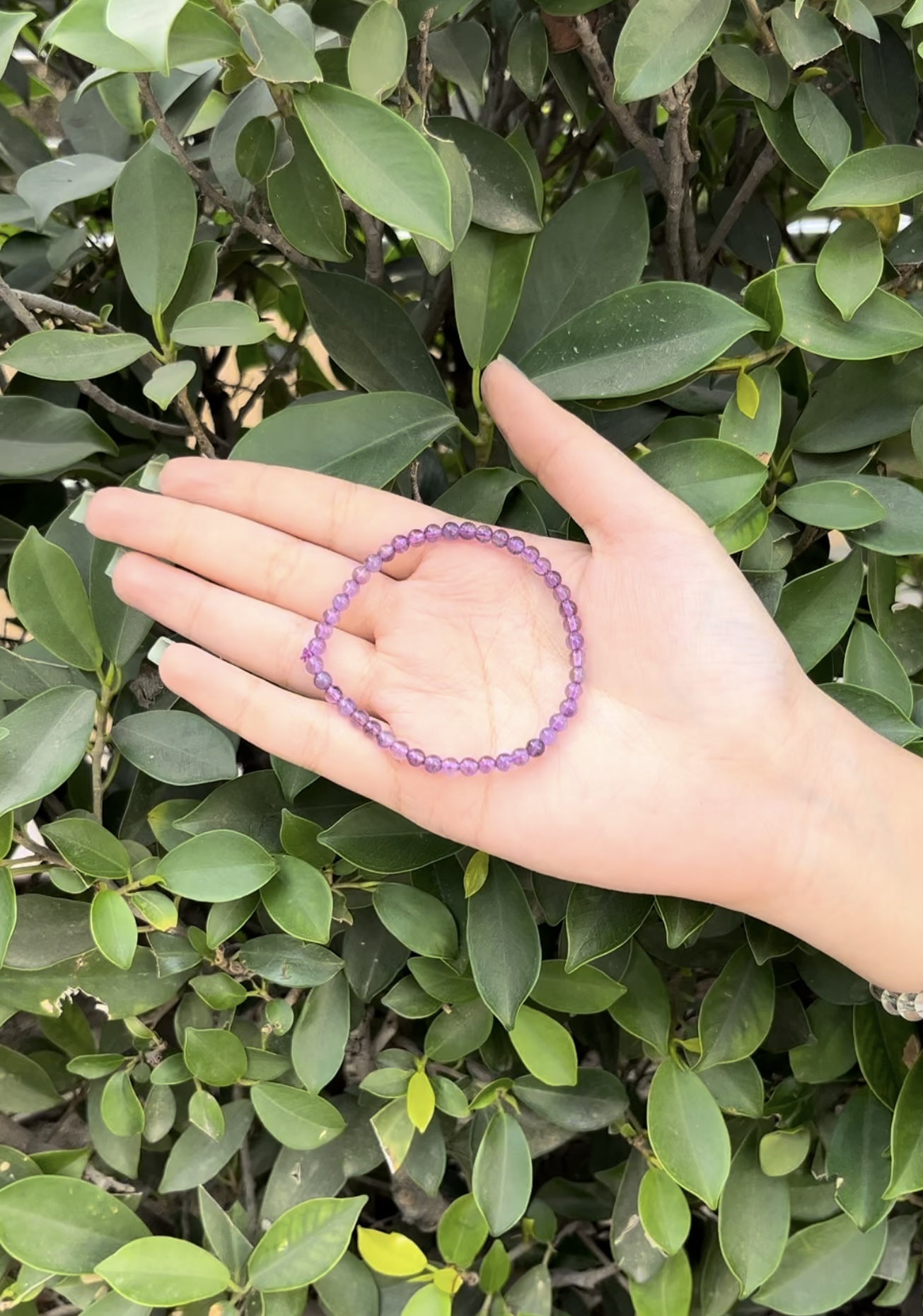 Amethyst Bracelet