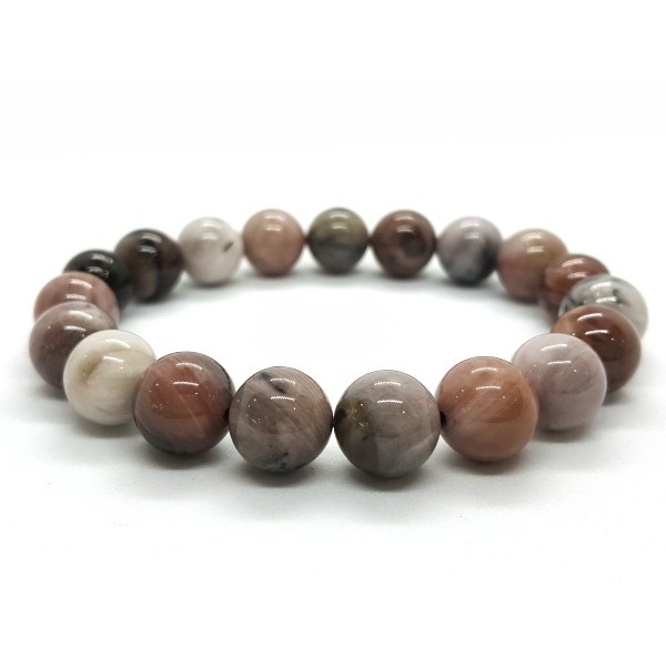 Petrified Wood Bracelet